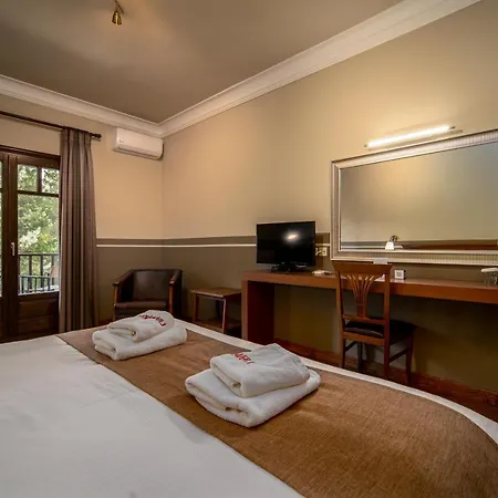 Hotel Giamandes Elati (Trikala)