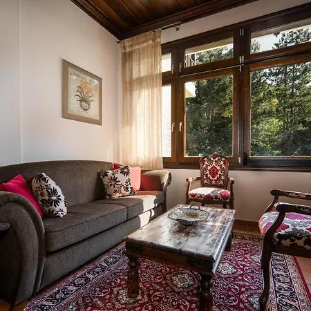Hotel Giamandes Elati (Trikala)