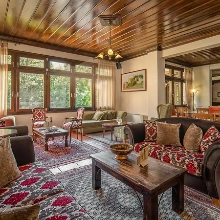 Giamandes Hotel Elati (Trikala)