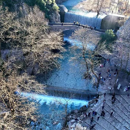 Giamandes Elati (Trikala)